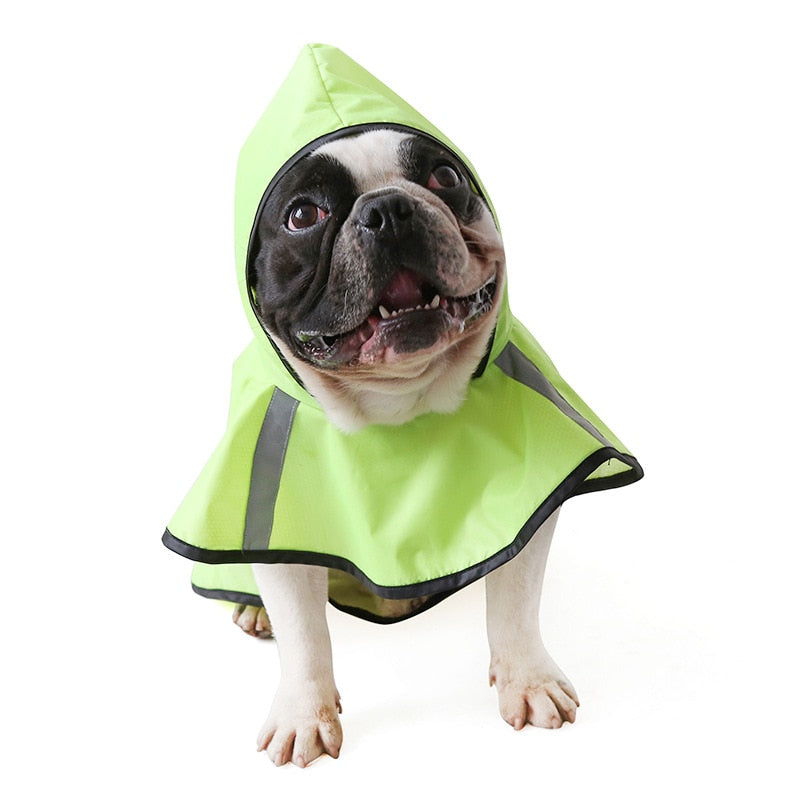 Green Camouflage French Bulldog Raincoat - French Bulldog shop