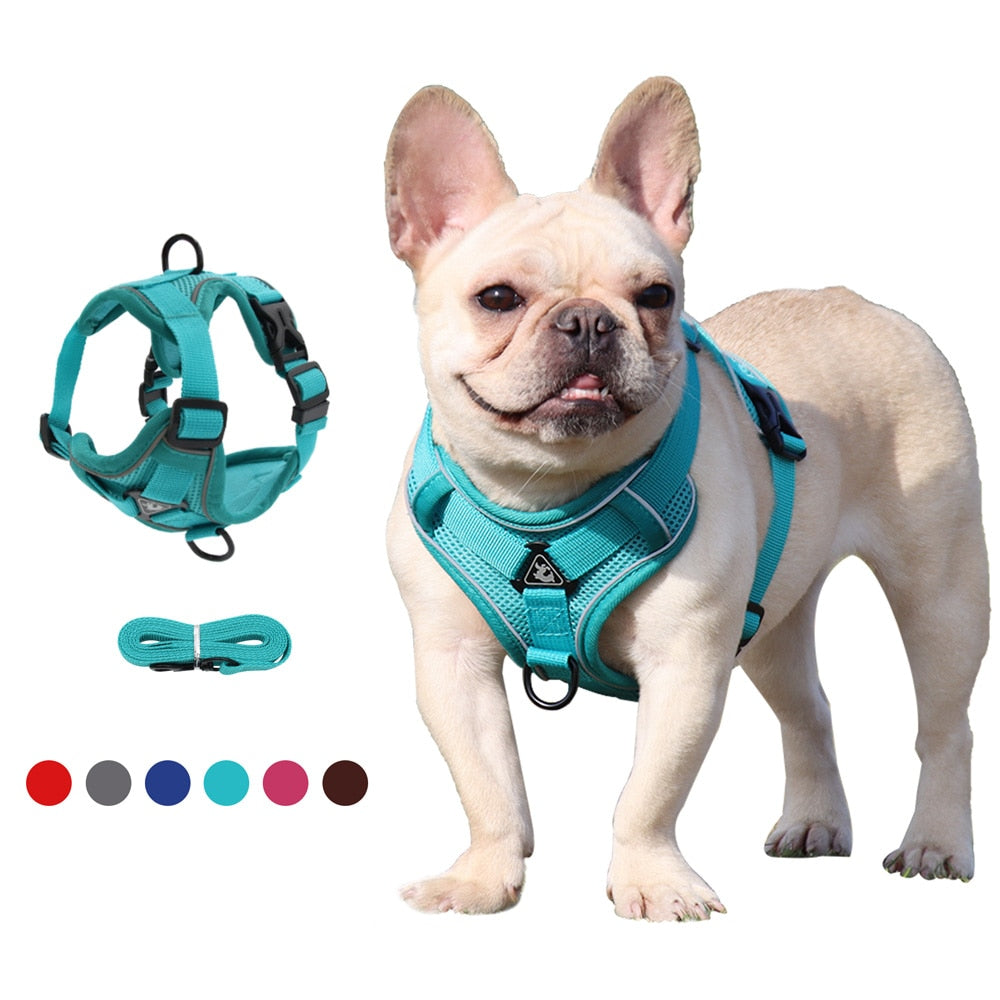 French Bulldog Harness Leash Set - French Bulldog Shop