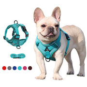 French Bulldog Harness Leash Set - French Bulldog Shop