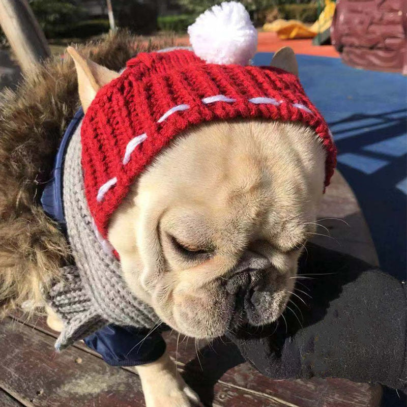 French Bulldog Woolen Cap Winter Hat - The Frenchie Shop