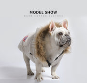 French Bulldog Trendy Winter Clothes