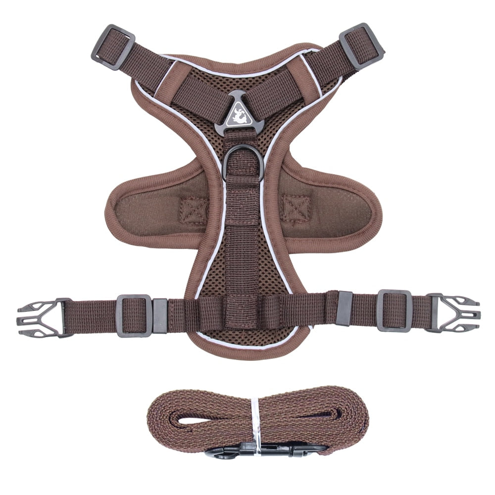 French Bulldog Harness Leash Set - French Bulldog Shop
