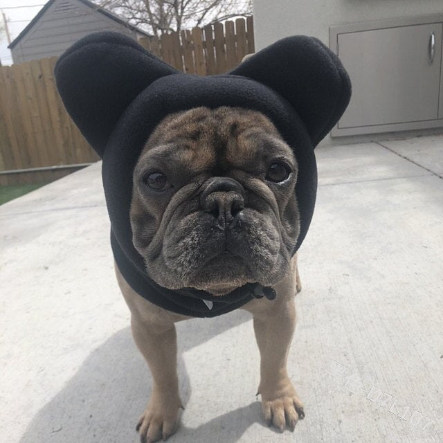 French Bulldog Warm Hat Adjustable Drawstring - French Bulldog shop