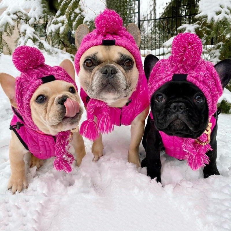 French Bulldog Winter Knitted Hat- Best Frenchie Beanie - French Bulldog shop