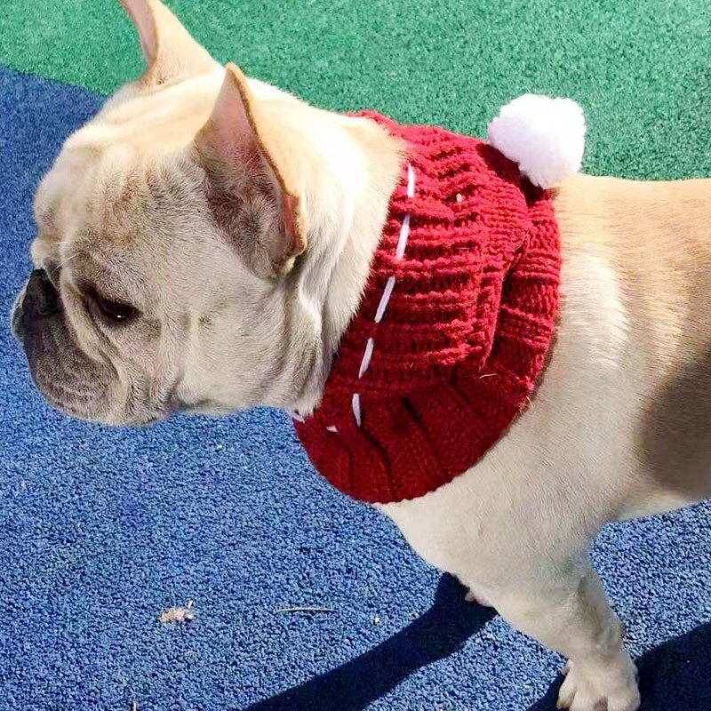 French Bulldog Woolen Cap Winter Hat - The Frenchie Shop