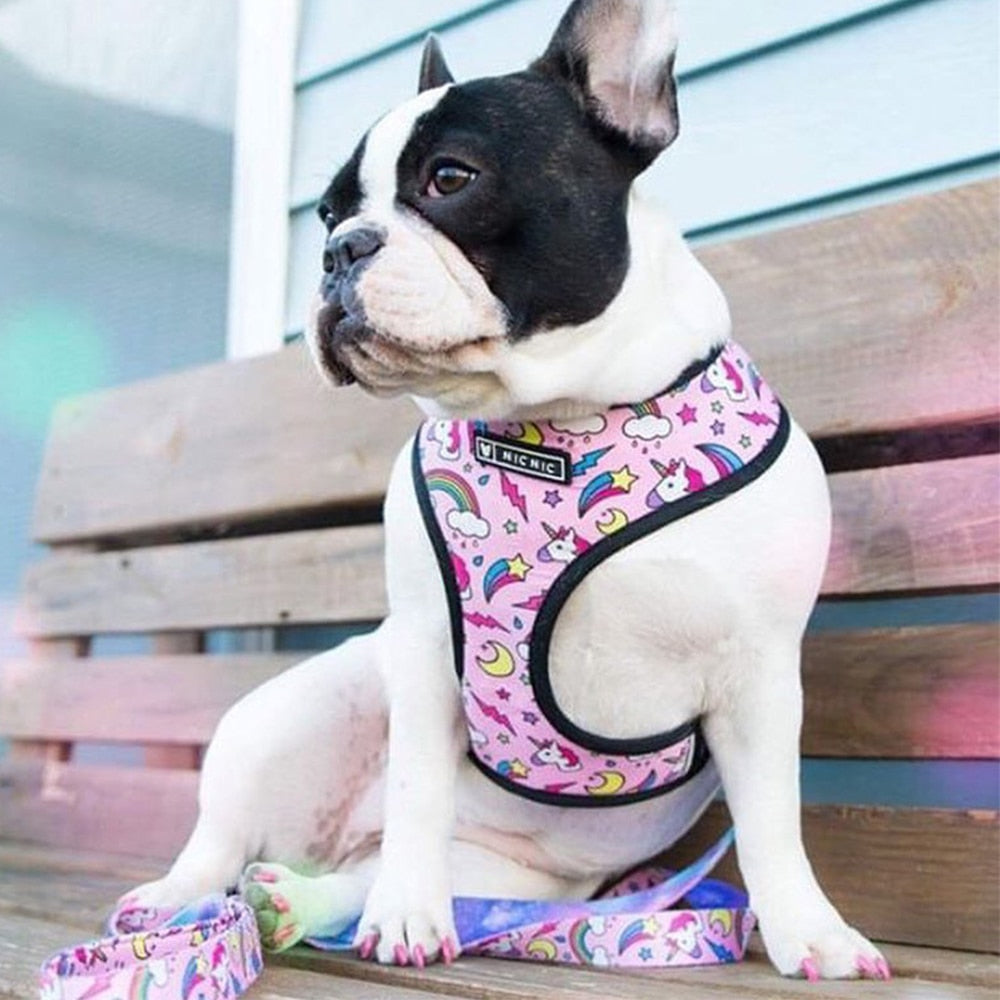 Floral French Bulldog harness Leash Set