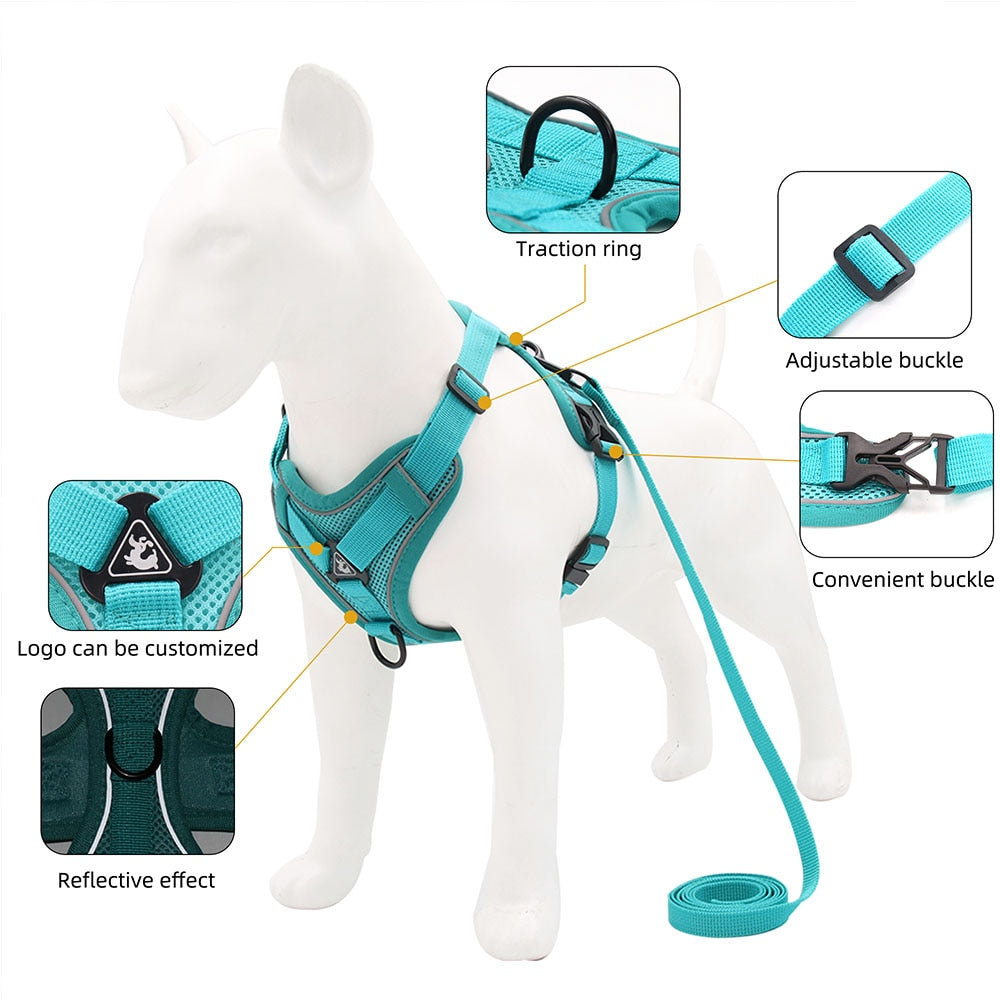 French Bulldog Harness Leash Set - French Bulldog Shop