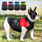 French Bulldog Winter Coat - French Bulldog Shop