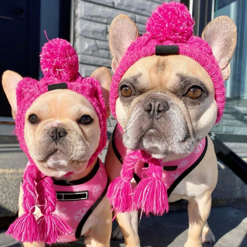 French Bulldog Winter Knitted Hat- Best Frenchie Beanie - French Bulldog shop