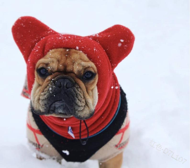 French Bulldog Warm Hat Adjustable Drawstring - French Bulldog shop