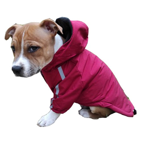French Bulldog Cold Weather Coats Cozy Waterproof Windproof - French Bulldog shop