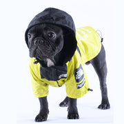 Purecoat™ Frenchie Bulldog Winter Raincoat - The Frenchie Shop
