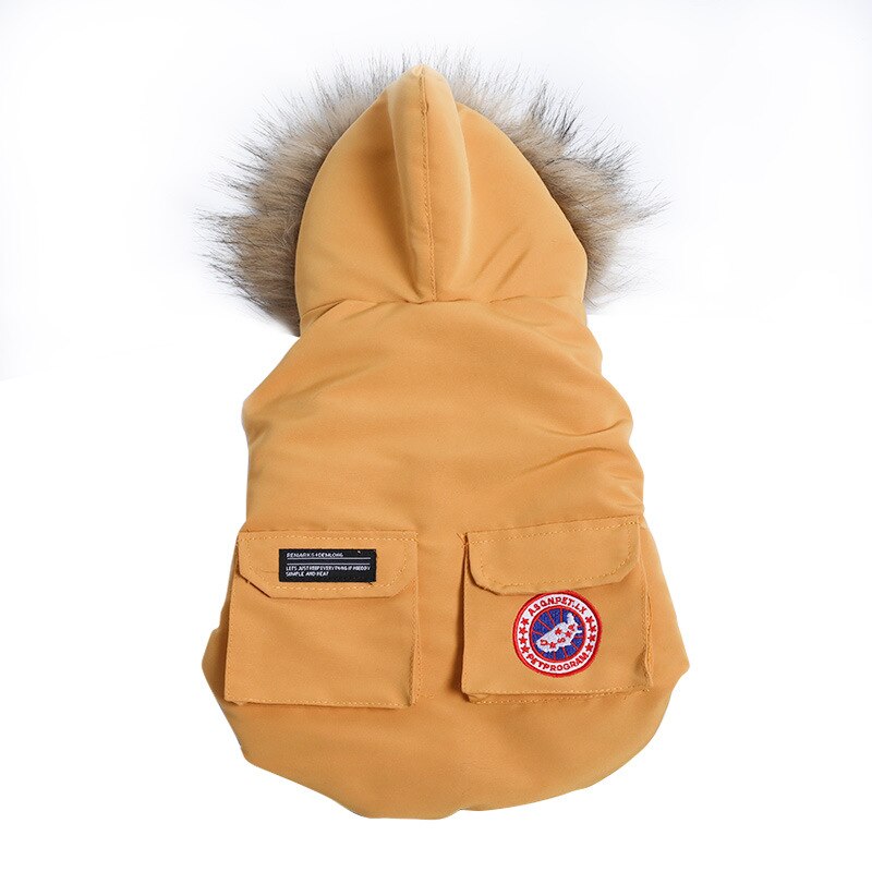 French Bulldog Trendy Winter Clothes - French Bulldog shop