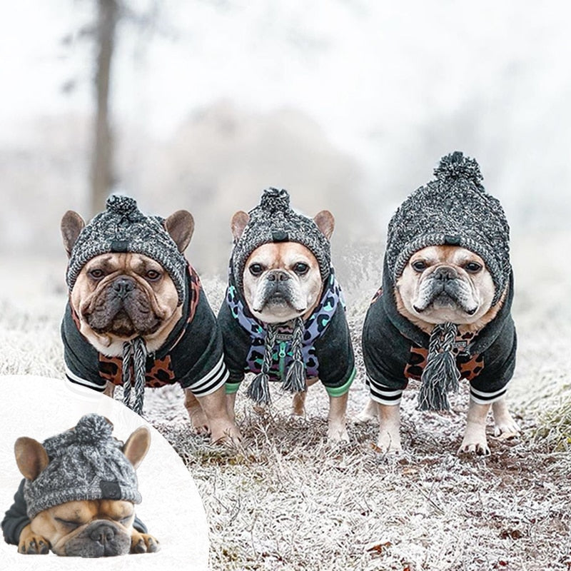 French Bulldog Windproof Woolen Winter Cap - French Bulldog Shop