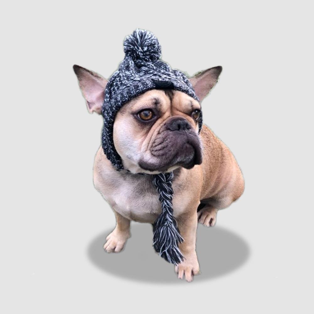 French Bulldog Windproof Woolen Winter Cap - French Bulldog Shop