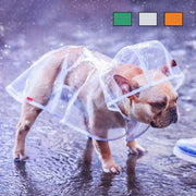 French Bulldog Raincoat