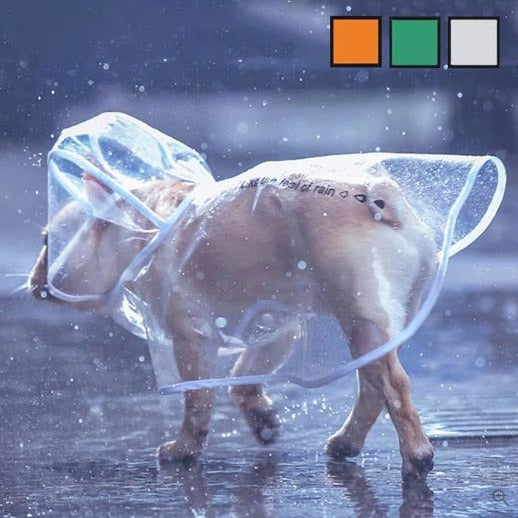 French Bulldog Raincoat