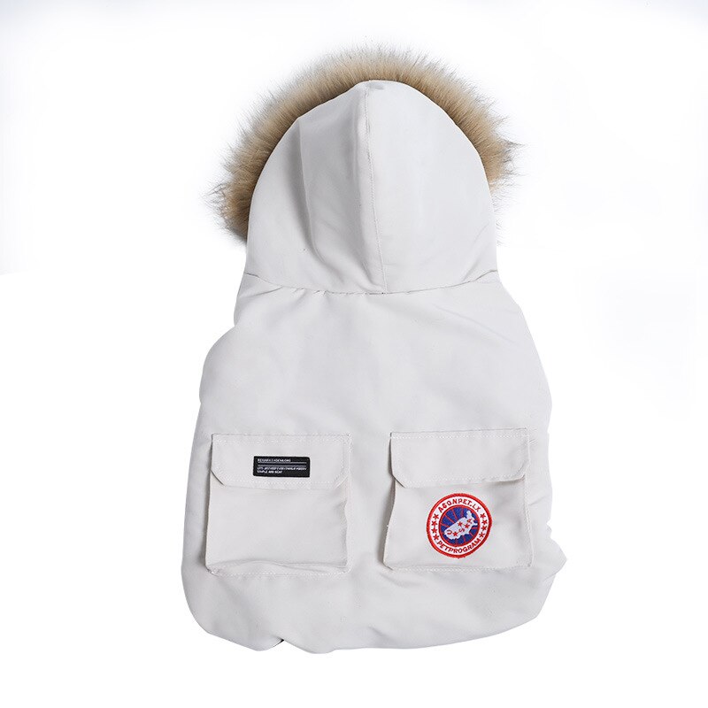 French Bulldog Trendy Winter Clothes - French Bulldog shop