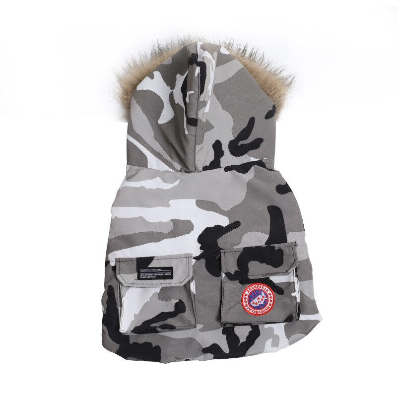 French Bulldog Trendy Winter Clothes - French Bulldog shop