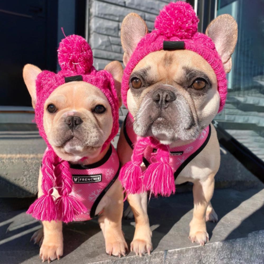 French Bulldog Windproof Woolen Winter Cap - French Bulldog Shop