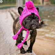 French Bulldog Winter Knitted Hat- Best Frenchie Beanie - French Bulldog shop