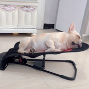 French Bulldog Rocking Chair Bed Spring Recliner