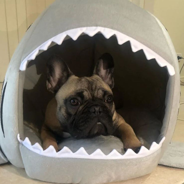 Frenchie Shark Bed Warm House - The Frenchie Shop
