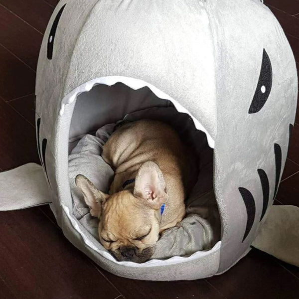Frenchie Shark Bed Warm House - The Frenchie Shop
