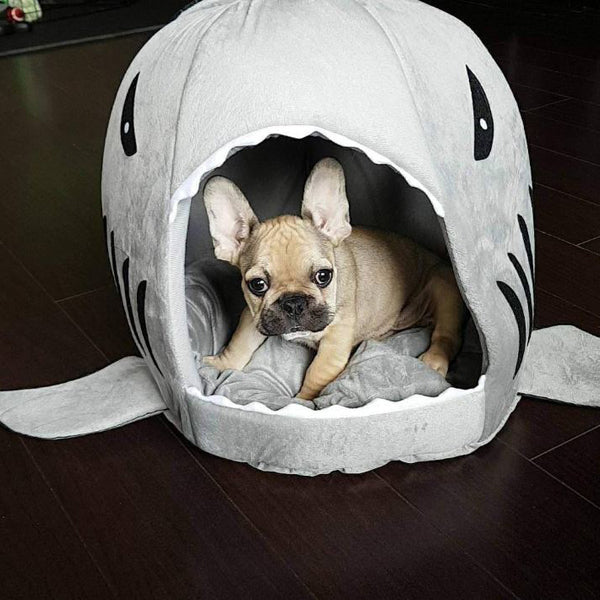 Frenchie Shark Bed Warm House - The Frenchie Shop